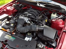 2006 Mustang GT Prem Convertible Engine Bay