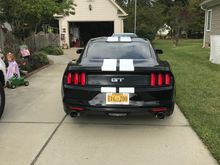Gotta change out Lic Plate tp white
