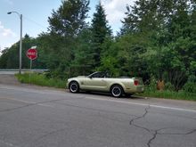 Enjoying the first ride after replacement, commented on rattles that went away. Completely more stable in the turns, said the body roll and sway subsided considerably.  Good for many years of happy miles. 