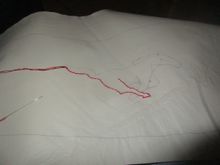 Embroidery in progress