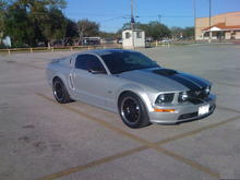 Mustang (4)