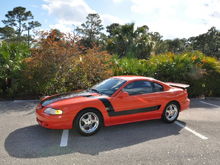 95 Mustang GT 5.0