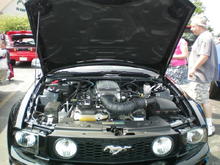 09 Black Mustang GT (KITT)