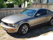 My first baby 05 Mustang