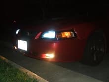 HID Headlight Kit, Smoked Headlight Lenses, Mach 1 Grill, Clear FogLight Housings. Chin spoiler soon to come!