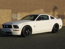 Mustang 02.08.10 002