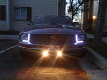 Mustang 1
