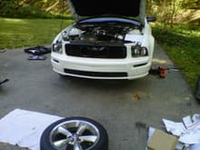 New GT front with Eleanor Grille on. Before I got the fogs