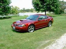 Mustang 035