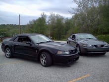 my car showin my buds cobra what a real car is