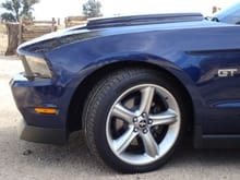 Mustang 024