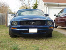 Mustang (Front)