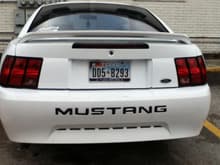 Black Mustang letters