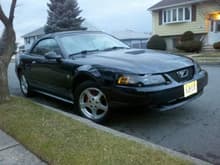 Garage - The Mustang