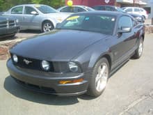 Mustang Dealer 1