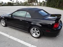 1999 mustang from 99ERIC