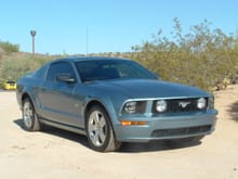 Mustang Pics 004