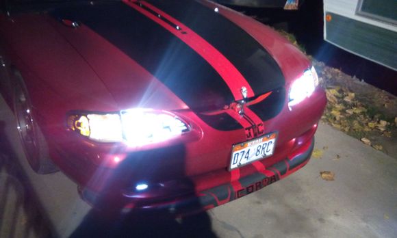 Night stalking rice burners and Gm's!  Lol. Nah but really beware of this stang