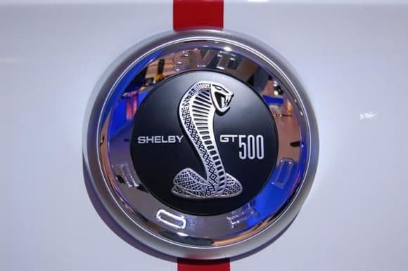2010 Ford Mustang Shelby GT500 Rear Badge Close Up