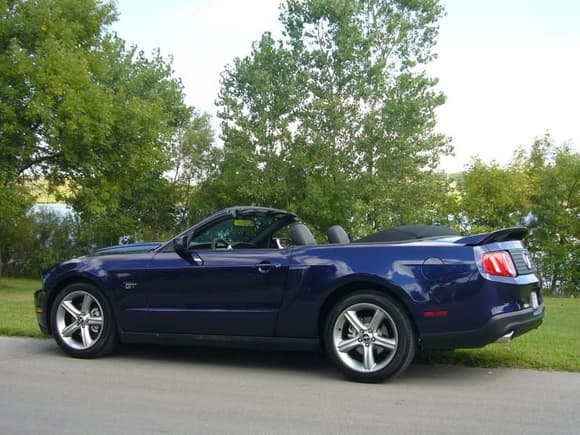 Mustang 20090831 (3)
