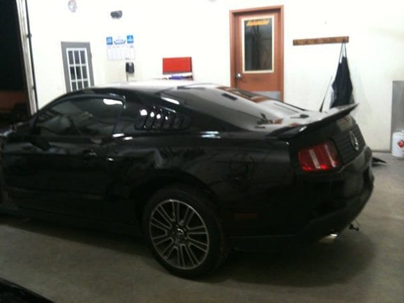 Mustang side
