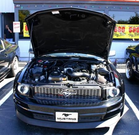 Close Up of Engine Bay
Hooters Car Show 
10/17/10