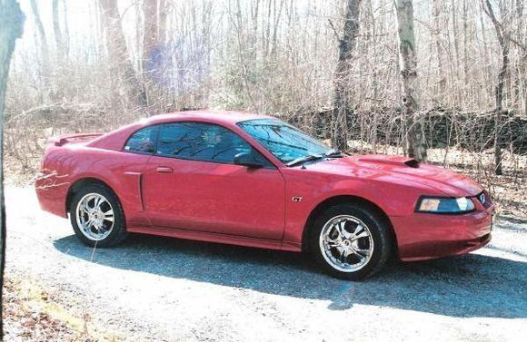 2001 GT...RIP :(
Would like to trade my 6 speed z28 for another mustang!