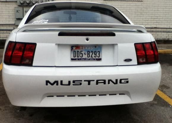 Black Mustang letters