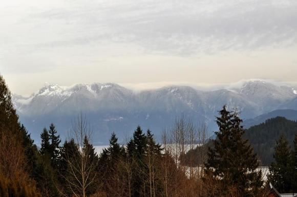 The view from our place