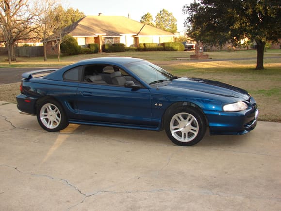 Mustang 003