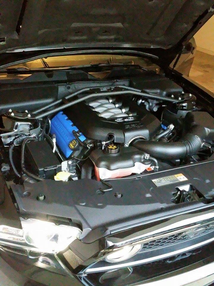 best engine bay clean method. both with water and without