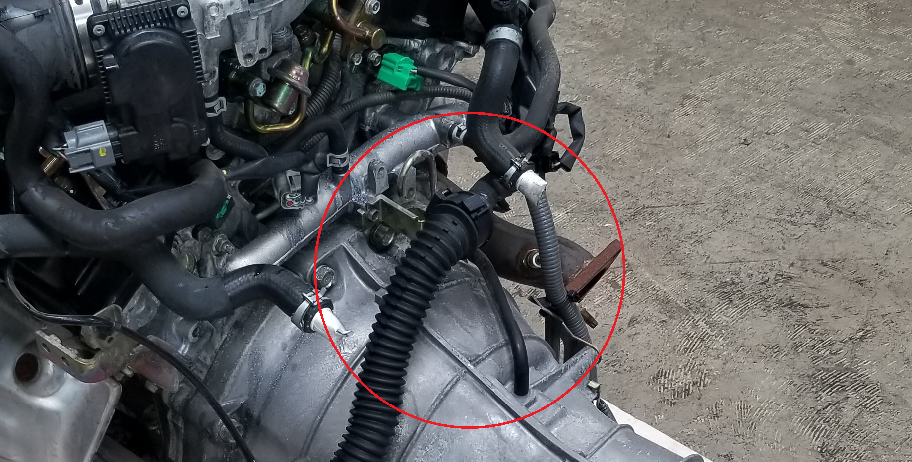 Transmission Breather hose Nissan 350Z and 370Z Forum