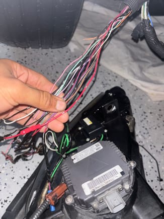 Wires from harness 