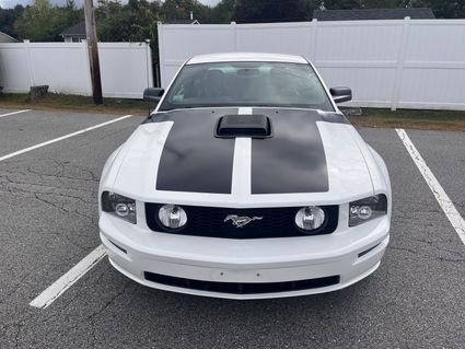 2006 Supercharged Mustang