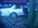 old dead cars :'(