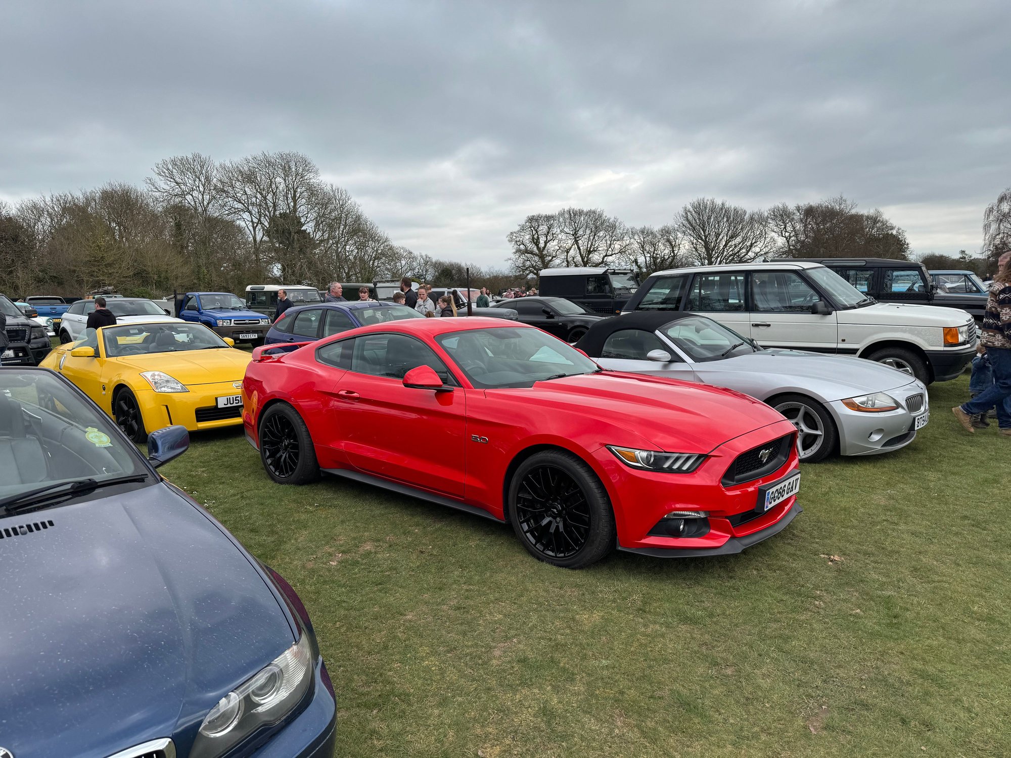 There were a few modern and classic Mustangs