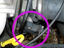 It is the type clip that goes around the plug here. My plug goes on to the distributor.