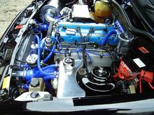 PB120029