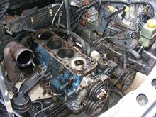cossie1 020