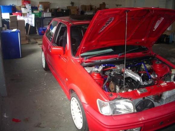 fiesta8