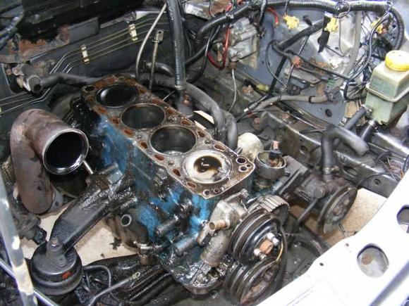 cossie1 020