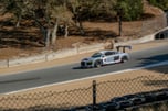 Audi R8 Race Car LMS tribute ST3 car