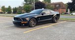 2008 Shelby Gt500 