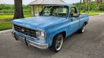 1977 Chevrolet Silverado  for sale $14,495 