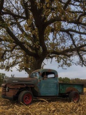 1949 Ford F3  for sale $9,495 