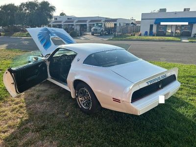 1979 Pontiac Firebird  for sale $28,895 