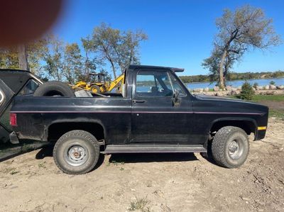 1982 Chevrolet Blazer  for sale $10,495 