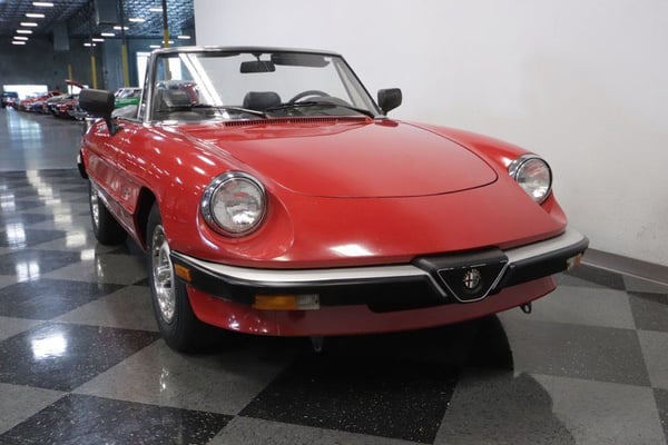 1986 Alfa Romeo Spider Veloce Gradute  for Sale $15,995 