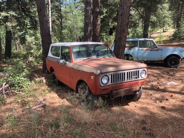 1975 International Scout  for Sale $6,995 