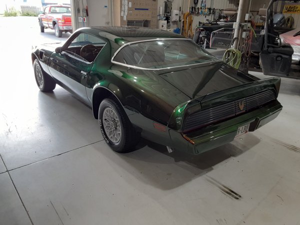 1981 Pontiac trans am for Sale $18,500